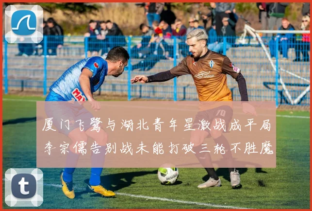 厦门飞鹭与湖北青年星激战成平局李宗儒告别战未能打破三轮不胜魔咒