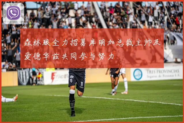 森林狼全力招募库明加总裁主帅及爱德华兹共同参与努力