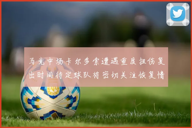 马竞中场卡尔多索遭遇重度扭伤复出时间待定球队将密切关注恢复情况
