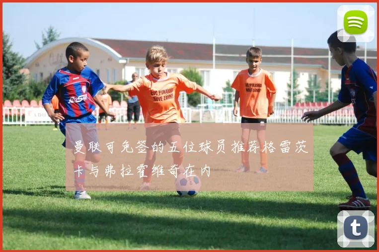 曼联可免签的五位球员推荐格雷茨卡与弗拉霍维奇在内