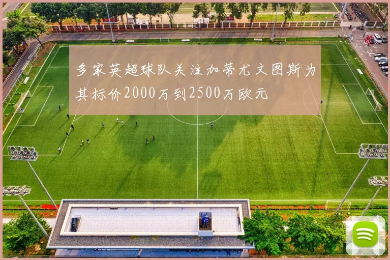 多家英超球队关注加蒂尤文图斯为其标价2000万到2500万欧元